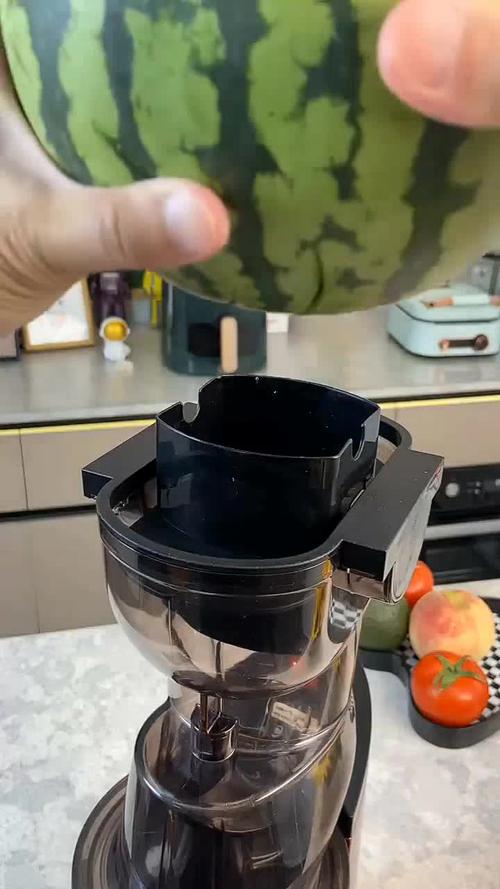 蒙达榨汁机原汁机果渣分离机渣汁分离小型家用全自动便携果汁鲜榨机大